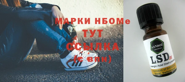 стаф Алзамай