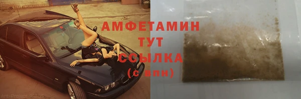 стаф Алзамай