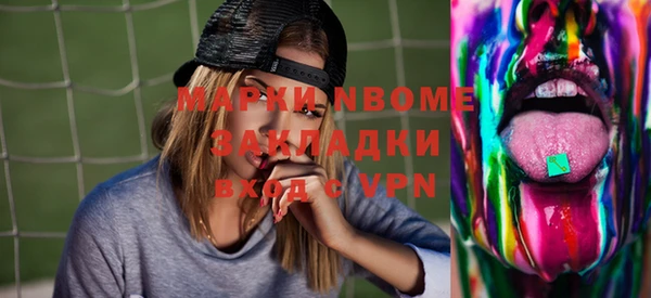 стаф Алзамай